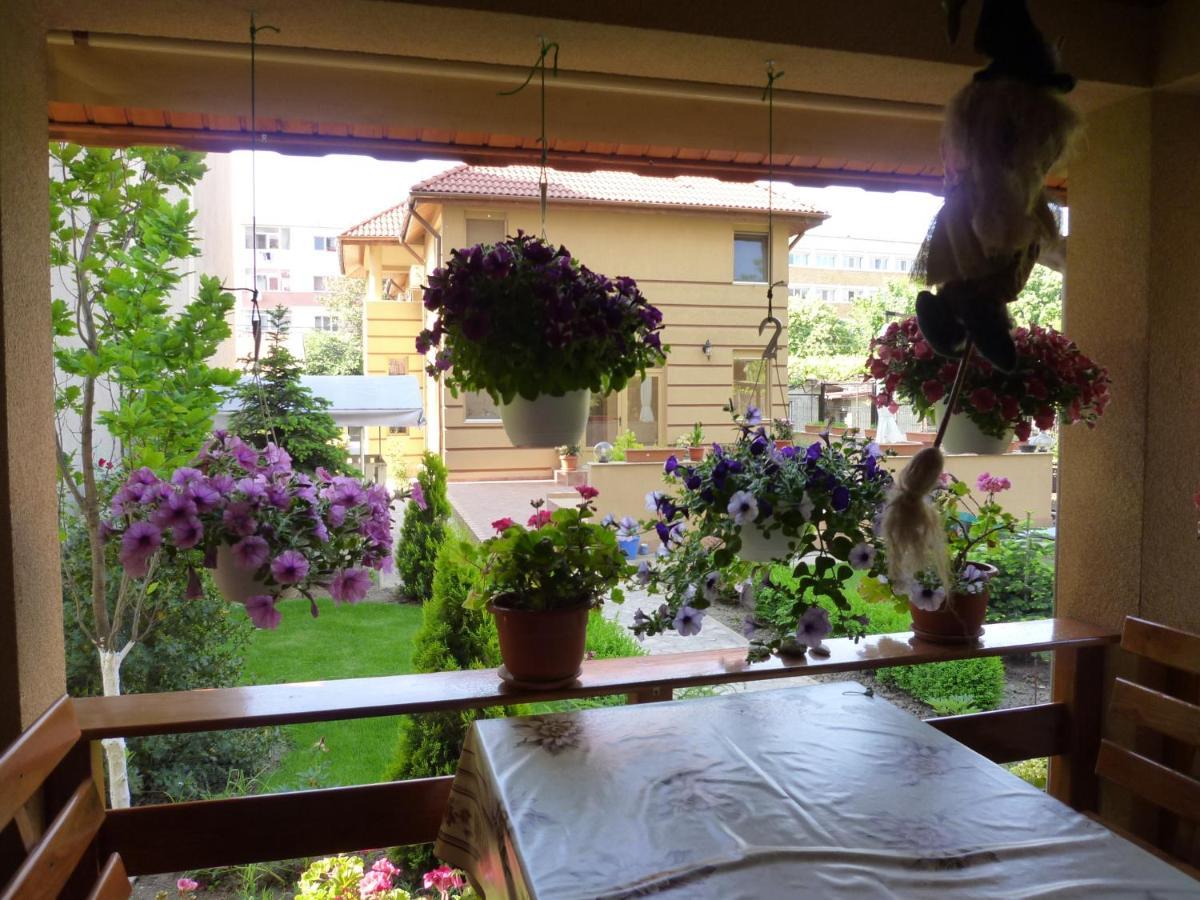 Casa Edwin Bed and Breakfast Κονστάντζα Εξωτερικό φωτογραφία