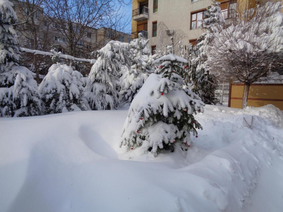 Casa Edwin Bed and Breakfast Κονστάντζα Εξωτερικό φωτογραφία
